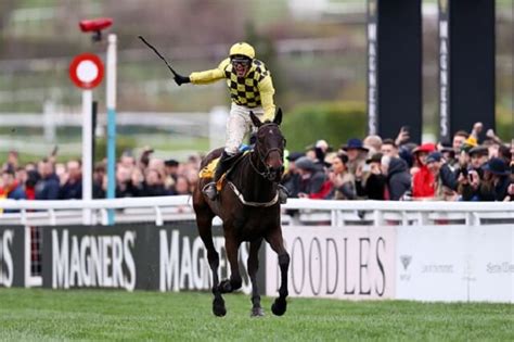 cheltenham friday results